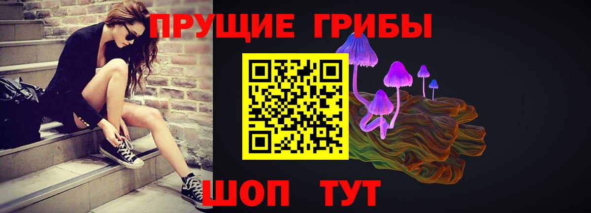 Галлюциногенные грибы GOLDEN TEACHER Сафоново